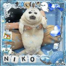 a picture of a seal with the name niko written on it