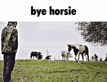 Sematary Horse GIF - Sematary Horse Horsie GIFs