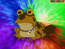 hypnotoad toad frog hypno frog futurama