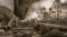 sauropod grazing dinosaur