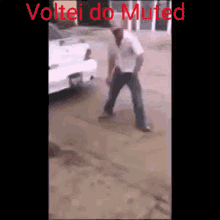 Voltei Do Muted GIF - Voltei Do Muted GIFs