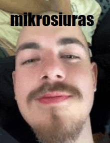 a close up of a man 's face with a beard and the word mikrosiuras on his head