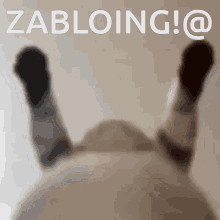 Zalboing GIF - Zalboing GIFs