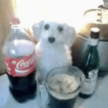 a stuffed dog is sitting on a table next to a bottle of coca cola