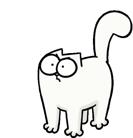 Cat Kitty Sticker - Cat Kitty Animated Stickers