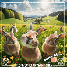 a bunch of rabbits are standing in a field with the words guten moin on the bottom