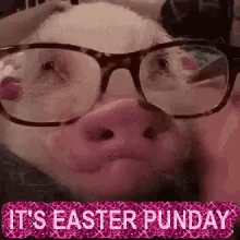 Easter Pig GIF - Easter Pig Jokes GIFs