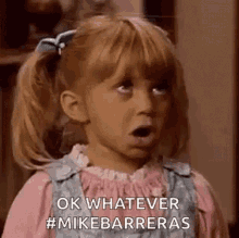 Mike Barreras Ok GIF - Mike Barreras Ok Whatever GIFs