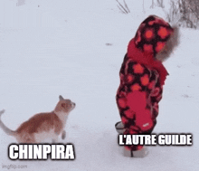Chinpira Nitz GIF - Chinpira Nitz Gvg GIFs