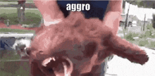 Aggro GIF - Aggro GIFs