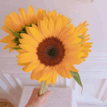 My Favorite Sunflower GIF - My Favorite Sunflower GIFs