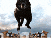 a large black dog is jumping in the air with its mouth open