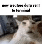 New Creature GIF - New Creature Data GIFs