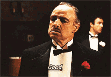 The Godfather Good GIF - The Godfather Good Marlon Brando GIFs