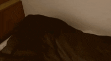a person is laying on a bed with a pillow in their hand .