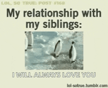 Relationship With Siblings Penguins GIF