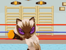 Animal Boxing GIF - Animal Boxing GIFs