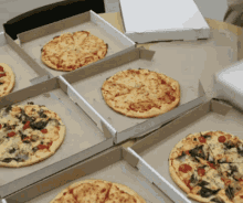 Thanks Pizza GIF - Thanks Pizza Gifsthatyoucansmell GIFs