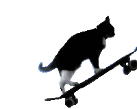 Get Real Cat Sticker - Get Real Cat Cat Skateboard Stickers