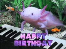 Happy Birthday Axolotl GIF - Happy Birthday Axolotl GIFs