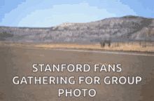 Stanford Tumble Weed GIF