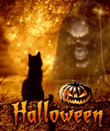 Halloween Black Cat GIF