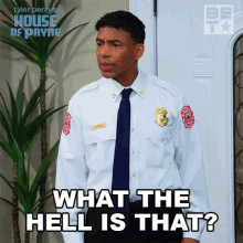 What The Hell Is That Cj Payne GIF - What The Hell Is That Cj Payne House Of Payne GIFs