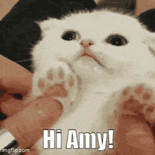 Hi Amy GIF - Hi Amy Eden GIFs