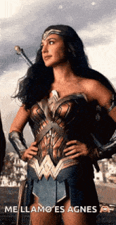 Gal Gadot Wonder Woman GIF