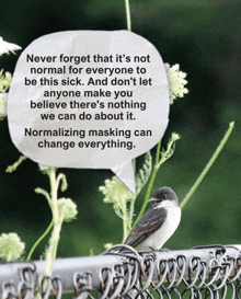 a bird sitting on a fence with a speech bubble that says never forget