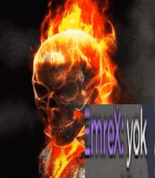 a picture of a skull in flames with the words emrex yok below it