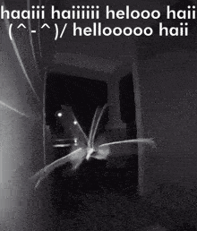 Hai Moth Haaiii Haiiiii Helooo Haii Hellooooo Haii GIF - Hai Moth Haaiii Haiiiii Helooo Haii Hellooooo Haii Door GIFs