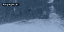 Tree Accident On The Car!.Gif GIF - Tree Accident On The Car! Chehre Tree GIFs