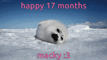 a picture of a seal with the words happy 17 months macky 3