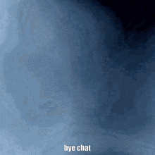 Fox Bye Chat GIF - Fox Bye Chat Goodbye Chat GIFs