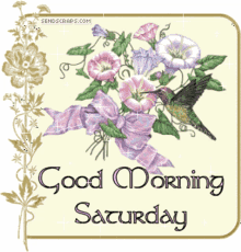 Happy Saturday Good Morning Saturday GIF - Happy Saturday Good Morning Saturday Good Morning GIFs