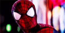 Amazing Spiderman GIF