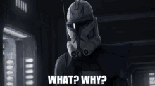 Star Wars Captain Rex GIF - Star Wars Captain Rex What Why GIFs