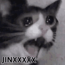 Jinx GIF - Jinx GIFs
