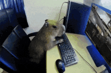need for speed prostreet need for speed nfs need for speed capybara