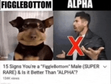 a picture of a dog next to a picture of a man with a red x on it