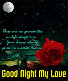 Goodnight My Love Rose GIF - Goodnight My Love Rose Red Rose GIFs