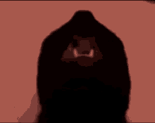 a close up of a black dog 's face with its mouth open .