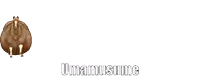 a pixel art of a horse with the word umamusume written below it