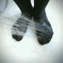 shower wet socks wet socks shower socks