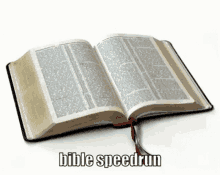 Speedrun Bible GIF - Speedrun Bible Jesus GIFs