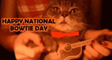 Happy National Bowtie Day Cats GIF - Happy National Bowtie Day National Bowtie Day Cats GIFs