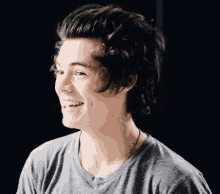 harry styles is wearing a gray shirt and smiling .
