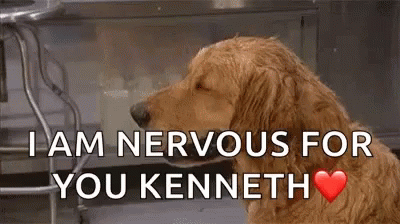 Nervous For You Kenneth Dogs GIF - Nervous For You Kenneth Dogs Funny Animals GIFs