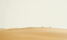 Dune Dune Part 2 GIF - Dune Dune Part 2 Gurney Hallek GIFs